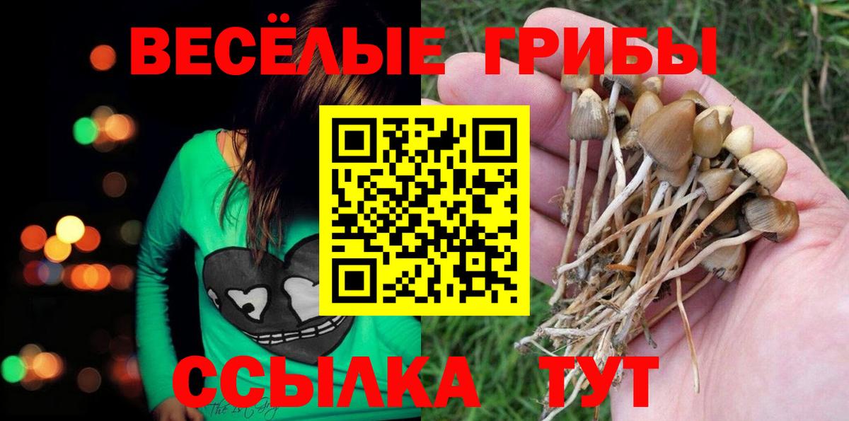 Псилоцибиновые грибы Psilocybine cubensis  Вход с VPN  Коломна 
